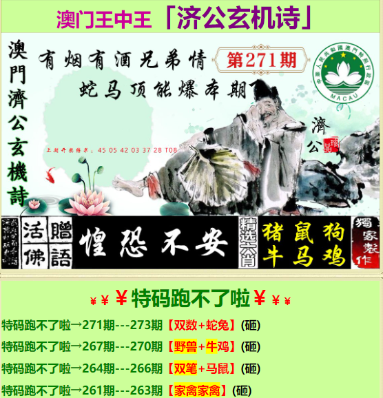 探索王中王，數(shù)字背后的故事與最新動態(tài)，揭秘王中王，數(shù)字背后的故事與最新進(jìn)展