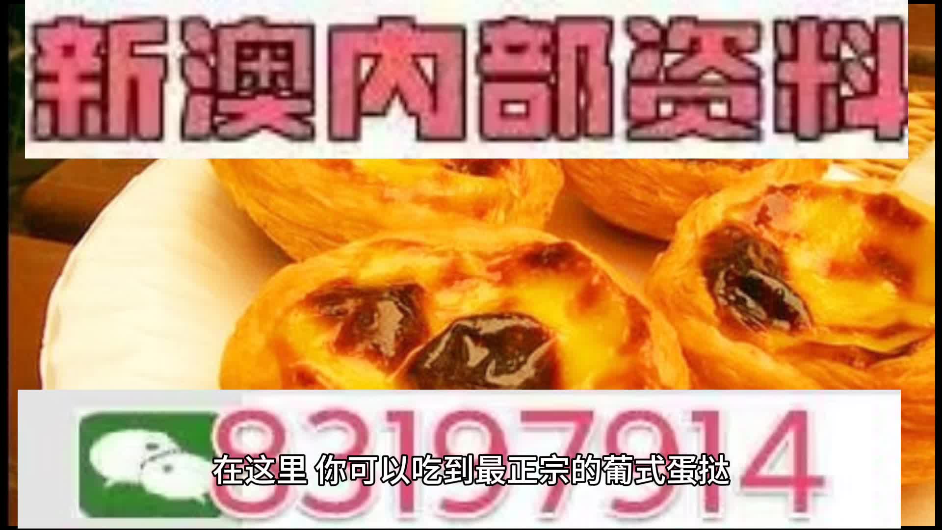 探索未來的澳門，透過新澳門中特網看世界，透過新澳門中特網探索未來澳門的世界風采