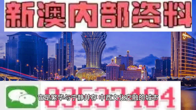 新門內部資料大全更新，深度探索與前沿洞察，新門內部資料更新，深度探索與前沿洞察概覽