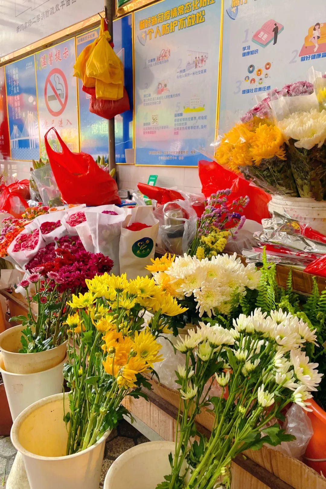 新門(mén)內(nèi)部資料免費(fèi)下載，探索與啟示，新門(mén)內(nèi)部資料免費(fèi)下載，探索與啟示之門(mén)開(kāi)啟