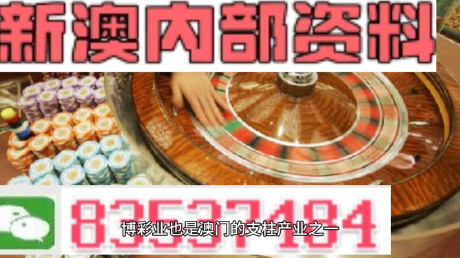 探索新澳正版資料的世界，免費提供的價值，探索新澳正版資料的世界，免費提供的價值之旅