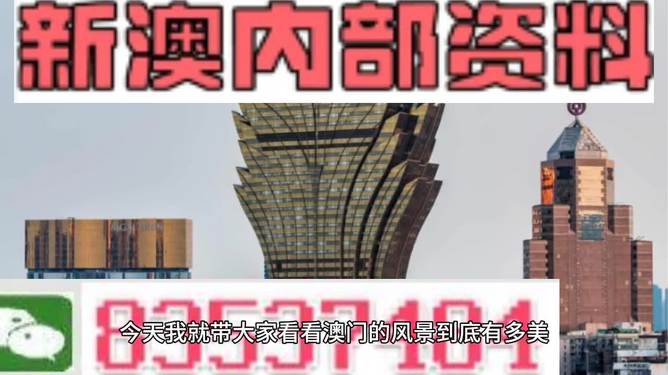 新澳門內部精準公開的多元發展與魅力，澳門多元發展的魅力與精準公開的內部動態
