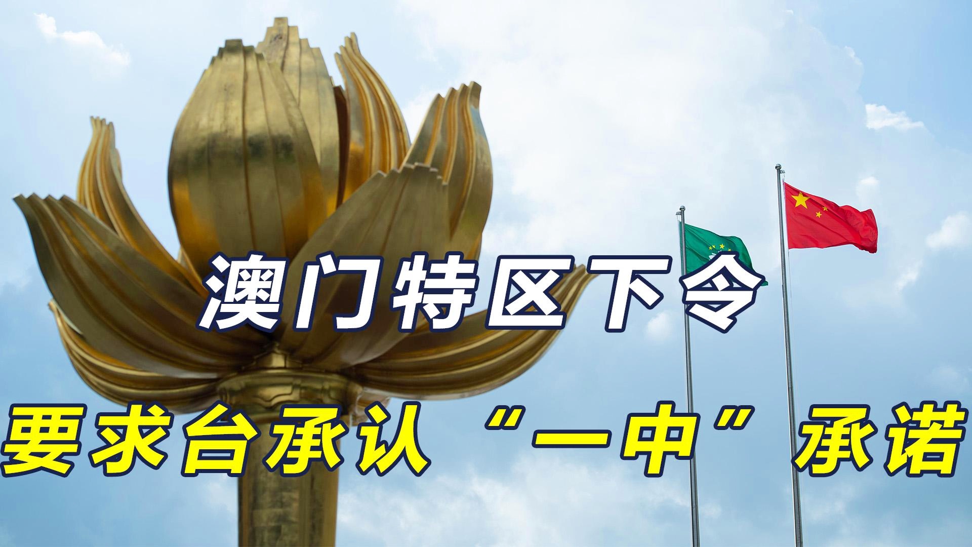 澳門一碼一肖一特一中管家，揭秘神秘面紗下的真相，澳門神秘管家揭秘，一碼一肖一特一中背后的真相