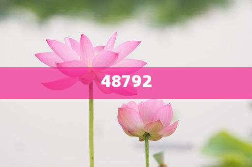 新奧彩免費提供