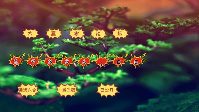 探索跑狗論壇，77777與88888的神秘開獎之旅，跑狗論壇的神秘數字之旅，77777與88888的開獎探索