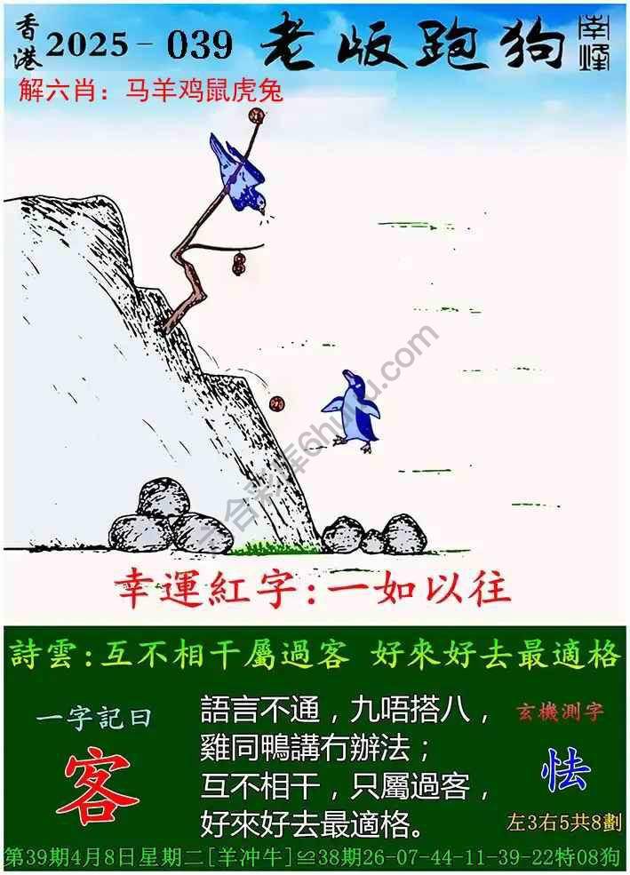 探索新版跑狗游戲，77777與88888的魅力之旅，新版跑狗游戲魅力之旅，探索77777與88888的神秘之旅
